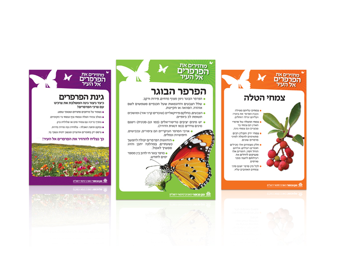 עיצוב פלקט הסבר בתערוכת הפרפרים בגן הבוטאני בירושלים